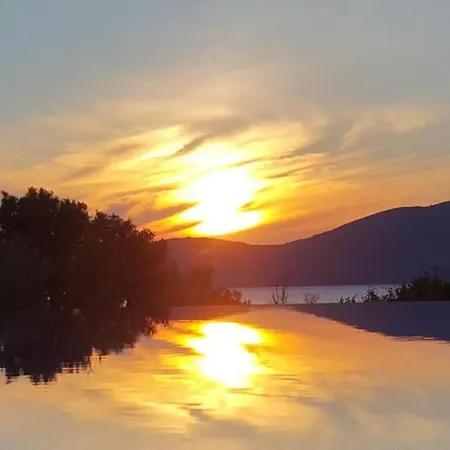 Del Mar 18 Guests - - Front Villa *