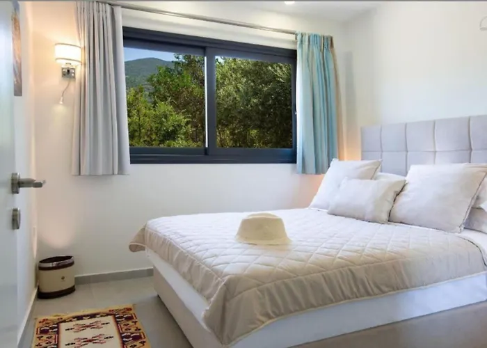 Del Mar 18 Guests - - Front